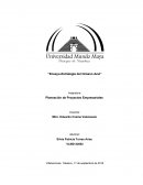 Ensayo Estrategia del Océano Azul.