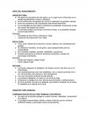 Arte del renacimiento.