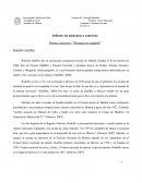 Informe Schumann y Halffter