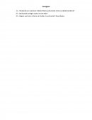 Resumen sobre la división América Estructural y cultural.