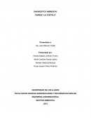 Diagnostico ambiental CARNES “LA COSTELA”