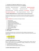 SELECCIONE LAS ALTERNATIVAS CORRECTAS