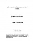PLAN DE ESTUDIOS - LINGÜÍSTICA