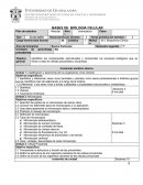 BASES DE BIOLOGÍA CELULAR.