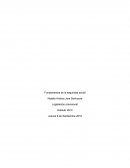 Fundamentos de la seguridad social - Legislación previsional