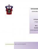 Más que una “pertinencia”, es una necesidad elemental de indagar y dilucidar sobre el sujeto social, cómo producto cultural resultante.