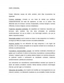 Tema de ciencia- Daño Cerebral