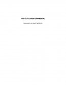 Proyecto de jardín ornamental.