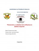 Prevención y cuidados de la influenza en adultos mayores