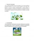 Desarrollo sustentable. Principios de sustentabilidad