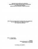 EFECTOS DEL VOCABULARIO UTILIZADO POR LOS ALUMNOS.