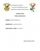 Transformaciones geométricas y lineales