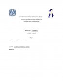 PROYECTO: EL AUTOMÓVIL PRIMERA UNIDAD FISICA III