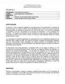 El International Accounting Standards Committee.