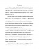 Ensayo de el maltrato