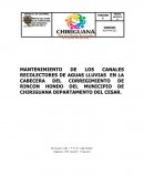 MANTENIMIENTO DE LOS CANALES RECOLECTORES DE AGUAS LLUVIAS EN LA CABECERA DEL CORREGIMIENTO DE RINCON HONDO DEL MUNICIPIO DE CHIRIGUANA DEPARTAMENTO DEL CESAR.