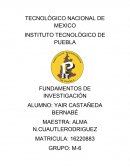 Reporte de lectura la zonas erroneas