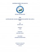JUSTIFICACION DEL CASO DEL DISEÑADOR DE JUGUETES Y DEL CASO LA MUDA.