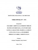 Una TAREA - DISEÑO ORGANIZACIONAL Y DE PROCESOS