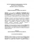 ESTATUTO DE SINDICATO DE EMPLEADOS DE LA INDUSTRIA METALURGICA DE CUNDINAMARCA