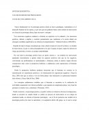 SINTESIS DESCRIPTIVA TALLER DE BIENESTAR PSICOLOGICO