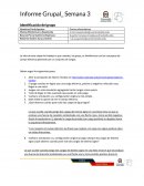 Informe Grupal_ Semana 3[pic 1] Identificación del grupo