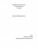 Evaluación de Riesgos Ergonómicos