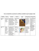 Conflictos mundiales.Cuasas etc