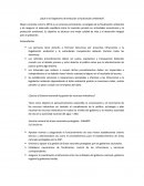 ¿Qué es el Organismo de evolución y fiscalización ambiental?