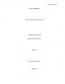 Ensayo Comparativo El Albatros y El Cisne