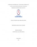 ENSAYO DE PSICOLOGIA ORGANIZACIONAL