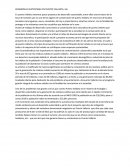 Ensayo desarrollo sustentable en puerto vallarta