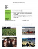 GUIA DE APRENDIZAJE SALIDA A TERRENO..