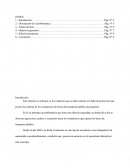 Este informe se enfocara en la evaluación que se debe realizar a la falta de protección que poseen las cabinas de los conductores de buses del transporte público de pasajeros.