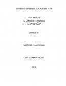 TALLER DE ELASTICIDAD