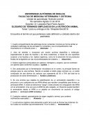 Tema: Glosario de terminos de nutricion animal