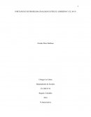 PORTAFOLIO DE PROBLEMA DIALOGOS ENTRE EL GOBIERNO Y EL M-19