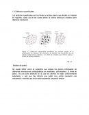 DEFECTOS SUPERFICIALES