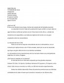 INDUSTRIA DEL TÉ PREMIUM EN CHILE