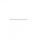 La agencia aduanera Manuel Solórzano y su enfoque laboral