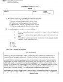 COMPRENSIÓN DE LECTURA 7º Básicos