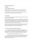 Caso práctico Estrategia Empresarial. CASO MANGO