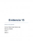 Sistema nervioso autonomo.