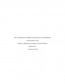 Dirección y planificación estratégica de recursos humanos