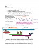 Planeación de fisica. ¿Qué es el sonido?