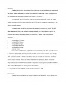 Resumen - Museo de louvre