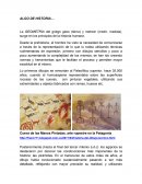 La historia de la geometría descriptiva.