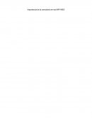 Importancia de la consultoría en las MIPYMES