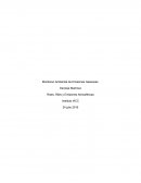 Todos los seres humanos como habitantes del planeta tierra tenemos como derecho a vivir en lugar que se encuentre libre de contaminantes capaces de causarnos daños a nuestra salud