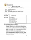 Trabajo final líneas de acción